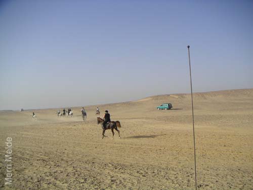 4_095_ride