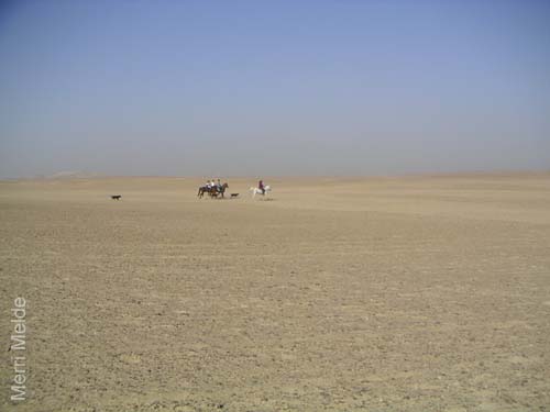 4_096_ride