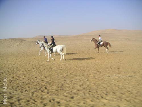 4_098_rideOsamasNiece