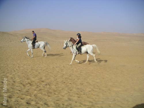 4_099_rideOsamasNiece