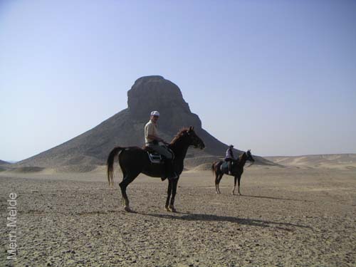 4_102_PalUnderMeltedPyramid