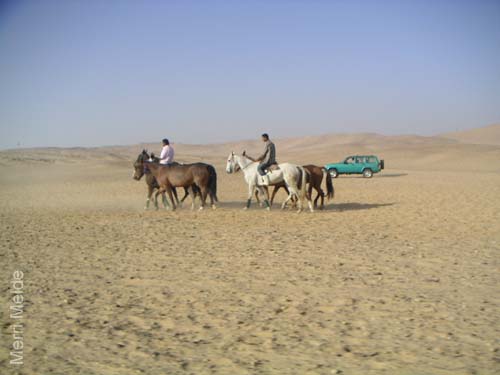 4_103_poloponiestraining