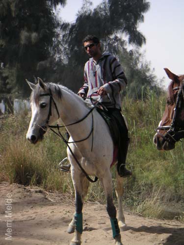 4_136_vetcheck_Morad