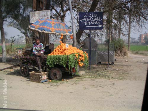 6_253_oranges