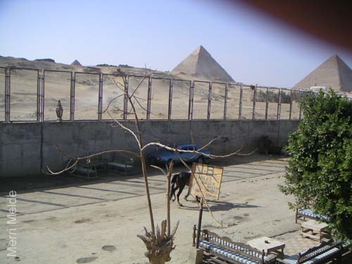 6_255_stablesbypyramids