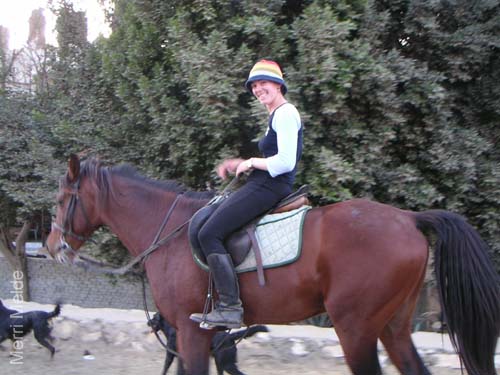 6_266_Hortense