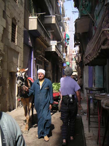 7_278_Market