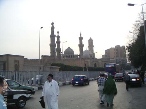 7_309_Cairo