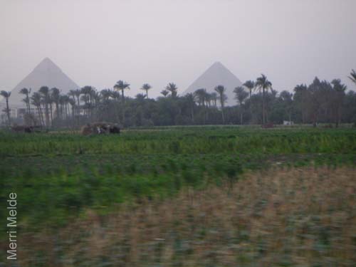 7_313_Pyramids