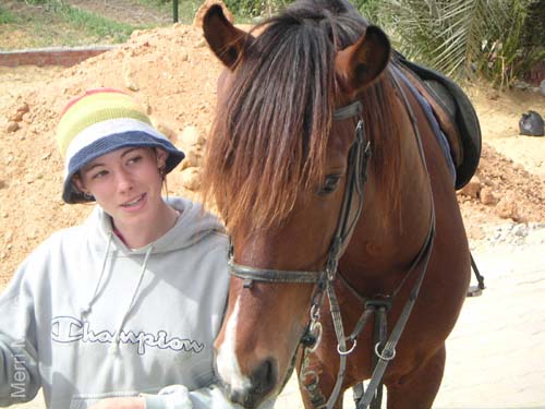 8_333_Hortense