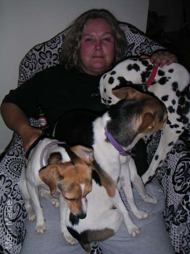 8_348_Dogpile