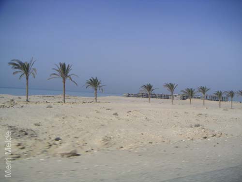 9_358_GulfofSuez
