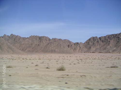 9_361_Sinai