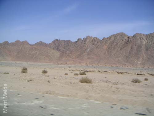 9_362_Sinai