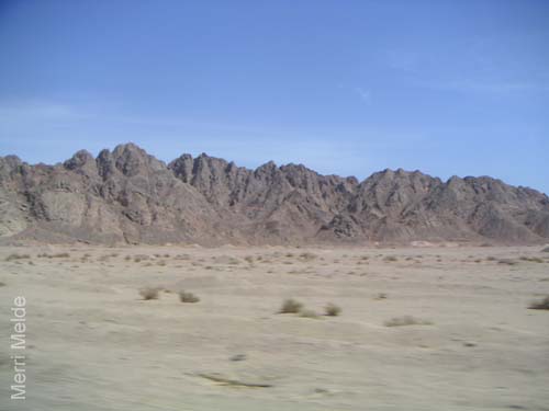 9_363_Sinai