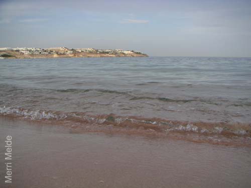 9_370_Sharm