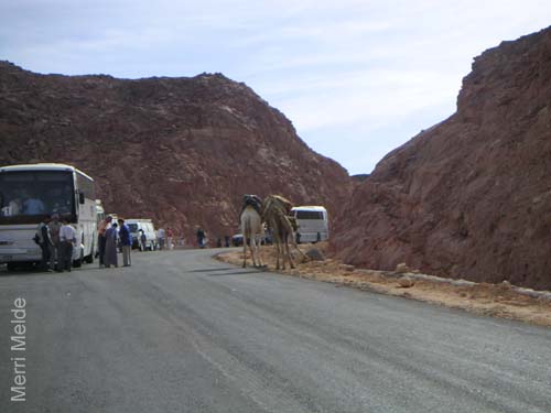 a_389_Sinai
