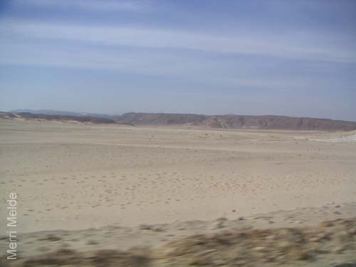 a_390_Sinai