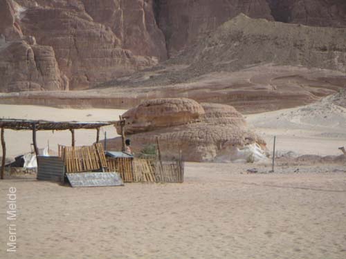 a_392_Sinai