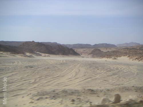 a_396_Sinai
