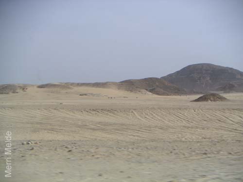 a_398_Sinai