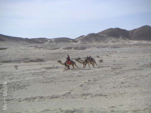 a_400_Sinai