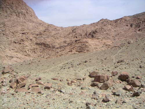 a_431_MtSTrail