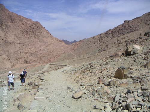 a_434_MtSTrail