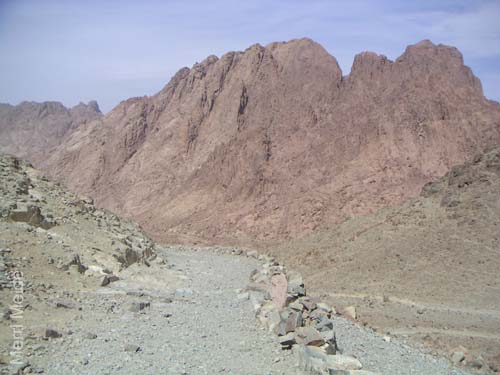 a_438_MtSTrail