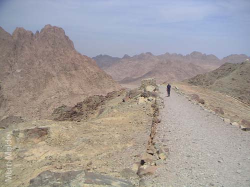 a_442_MtSTrail