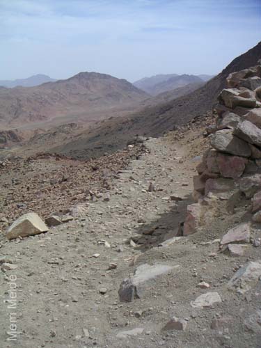 a_445_MtSTrail