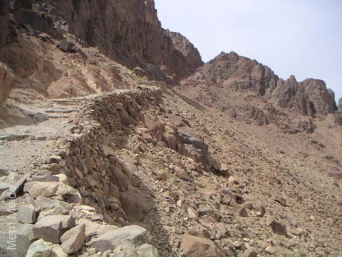 a_446_MtSTrail