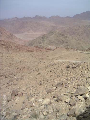 a_447_MtSTrail
