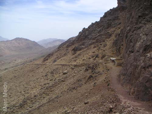 a_449_MtSTrail