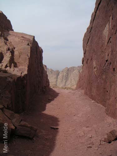 a_450_MtSTrail