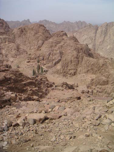 a_454_MtSTrail