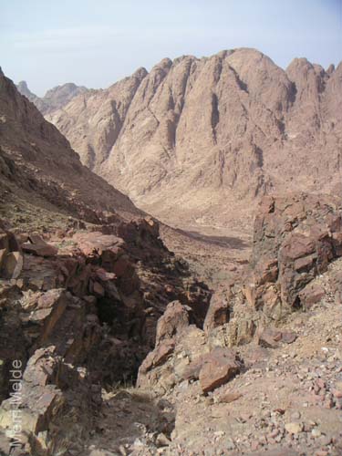 a_462_MtSTrail