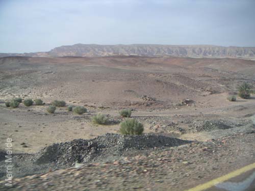 a_464_Sinai