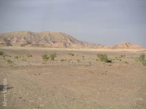 a_469_Sinai