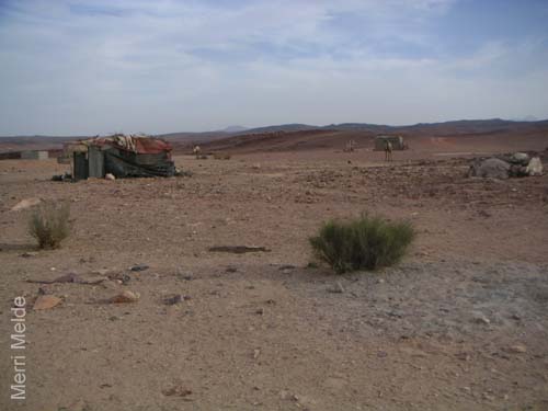 a_471_Sinai