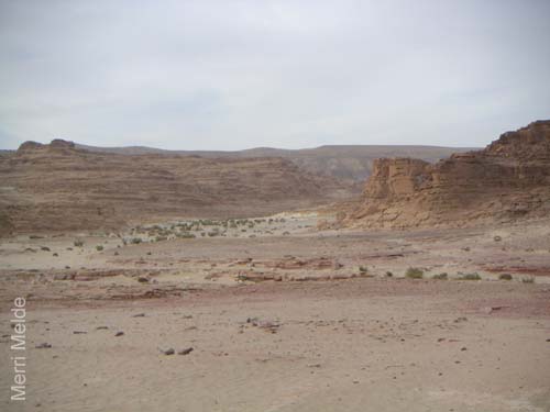 a_474_Sinai