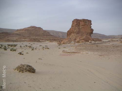 a_475_Sinai