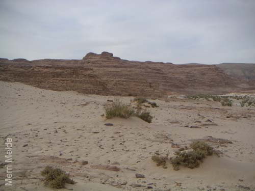 a_476_Sinai
