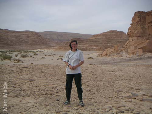 a_478_Sinai-Mer