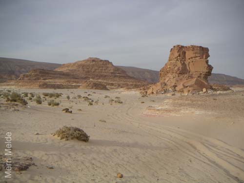 a_479_Sinai