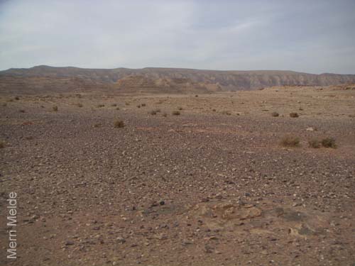 a_480_Sinai