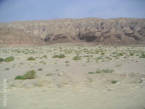 b_493_Sinai