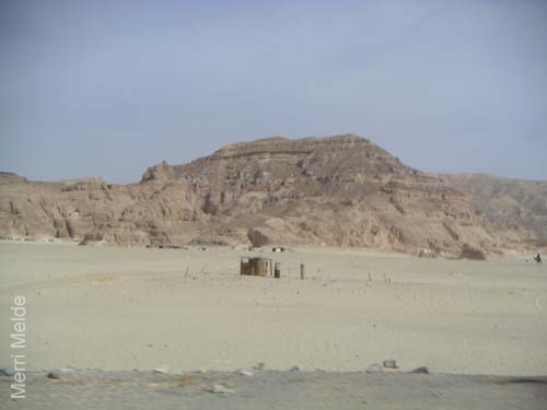 b_496_Sinai