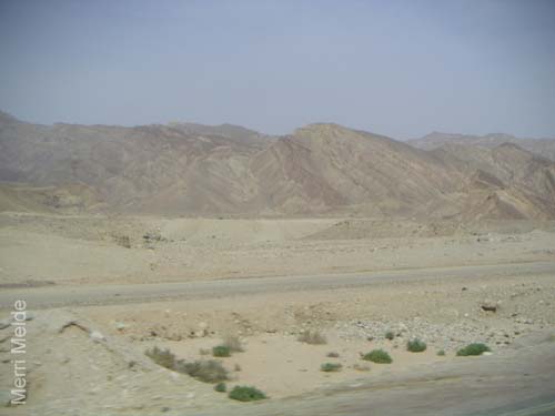 b_501_Sinai
