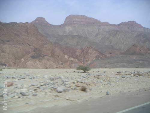 b_503_Sinai